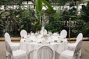 Hochzeit Biosphäre Potsdam Café Tropencamp