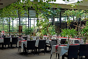 Hochzeitsfeier im Café Tropencamp der Biosphäre Potsdam